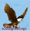 bald eagle majestic