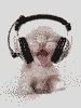 head phone listening