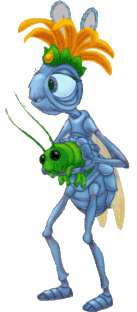 insect dance