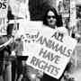 Animal Rights