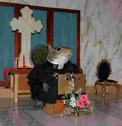 squirrel worships